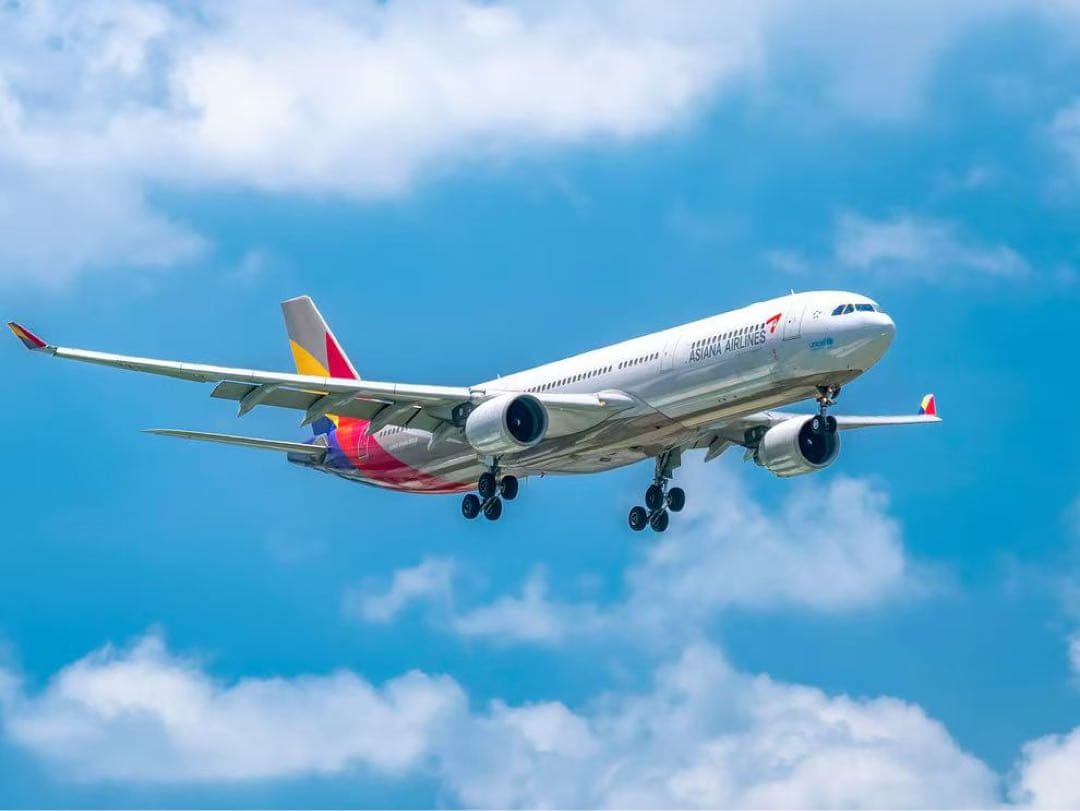 アシアナ航空 A330-323 Airlinertags 特殊パーツ