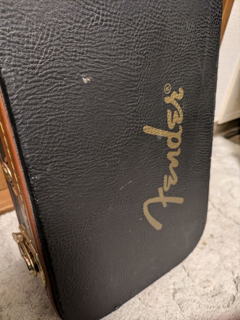 弦楽器 Fender FV-3