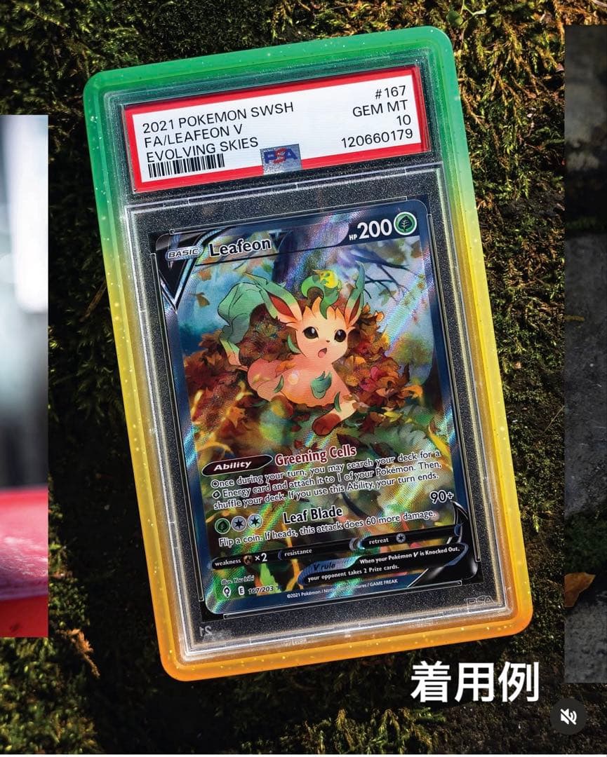 【PSA鑑定専用ケース】Graded Guard PUMPKIN