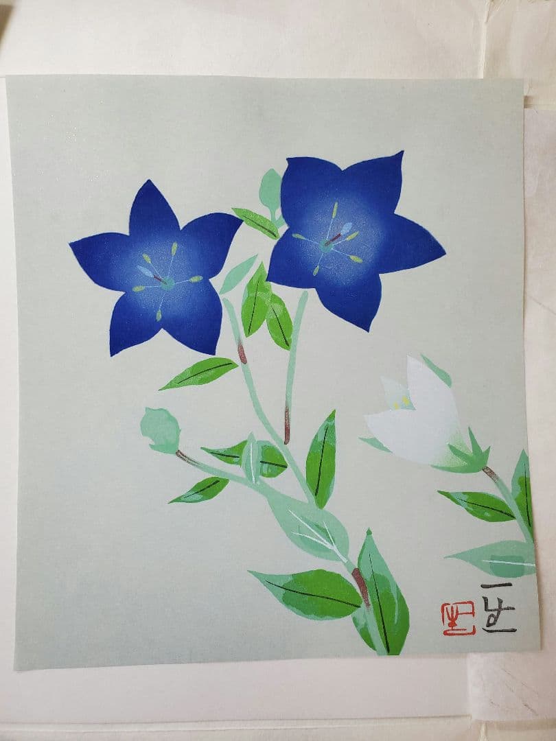 日本画　紅白鯉　牡丹　花　桔梗　安曇山湖　木版手摺りしき紙　四季　松浦満