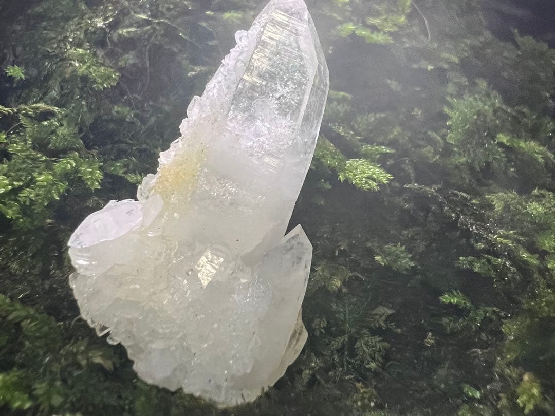 龍脈の精髄 九州産両剣水晶＋クラスター付き＋虹入り 【保護猫活動支援】