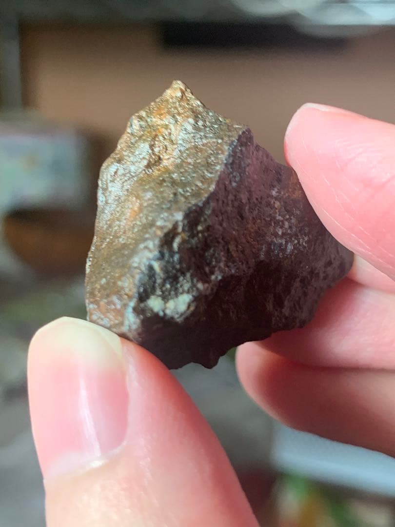 世界最古の石　46億年前の隕石コンドライト　太陽系最古の隕石　石質隕石　鉄隕石