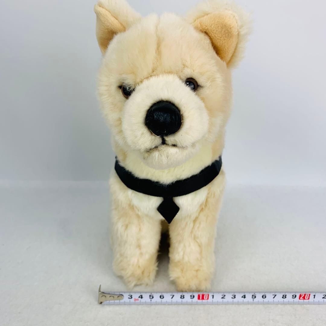 レア　国立科学博物館　秋田犬　ハチ　ぬいぐるみ　おすわり　ハチ号