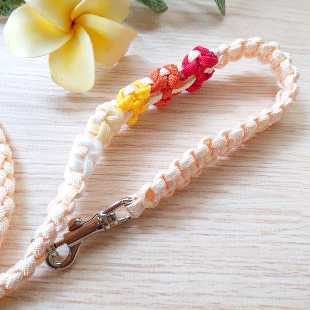 パラコードリード　カフェリード　レッド系カラー　№065