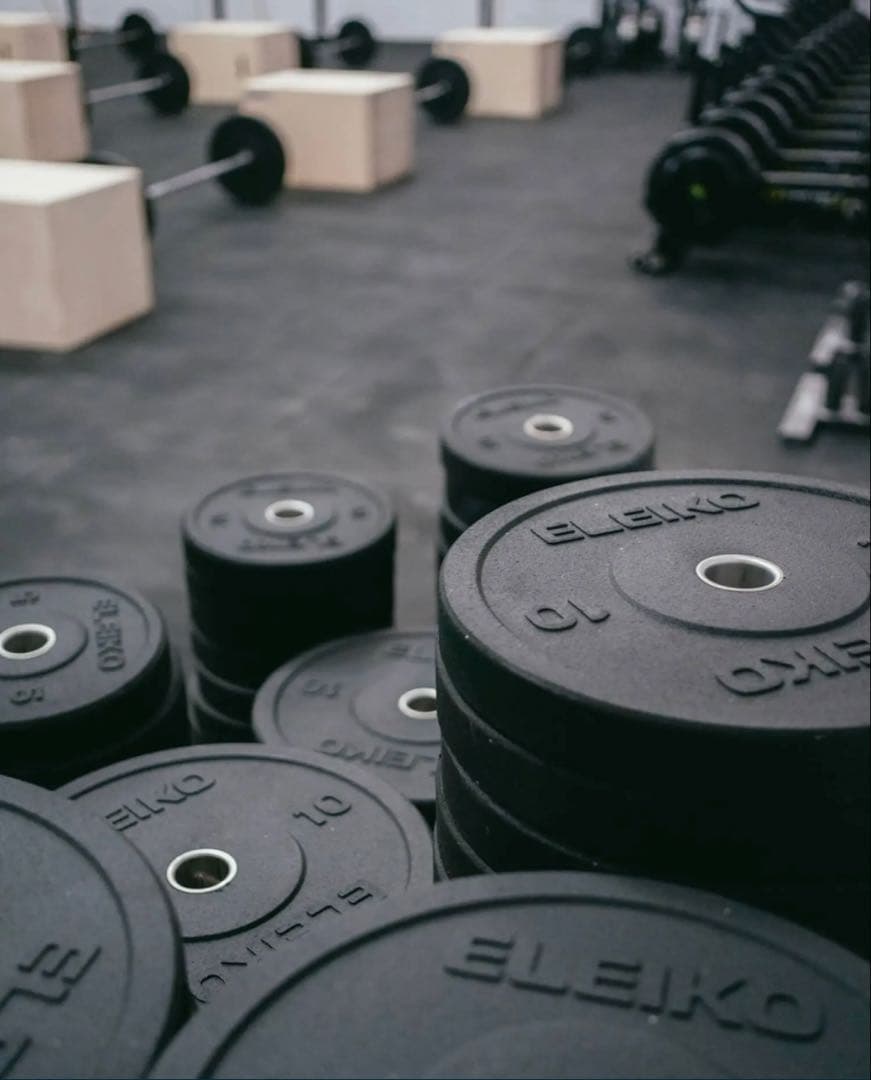 エレイコ　ELEIKO XFバンパープレート　100kgセット