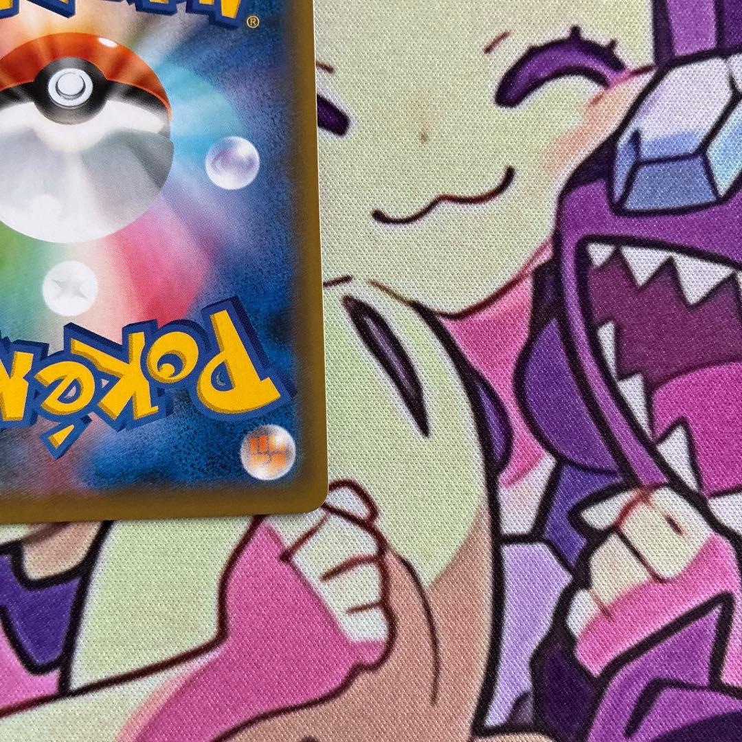 ブルーの探索 SR 亀あり