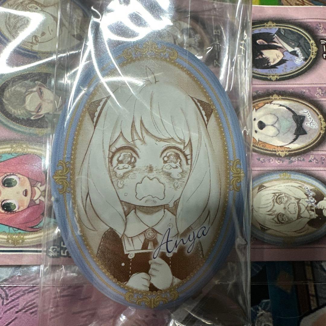 スパイファミリー　原作柄　額縁缶バッジ　トレーディング缶バッジ