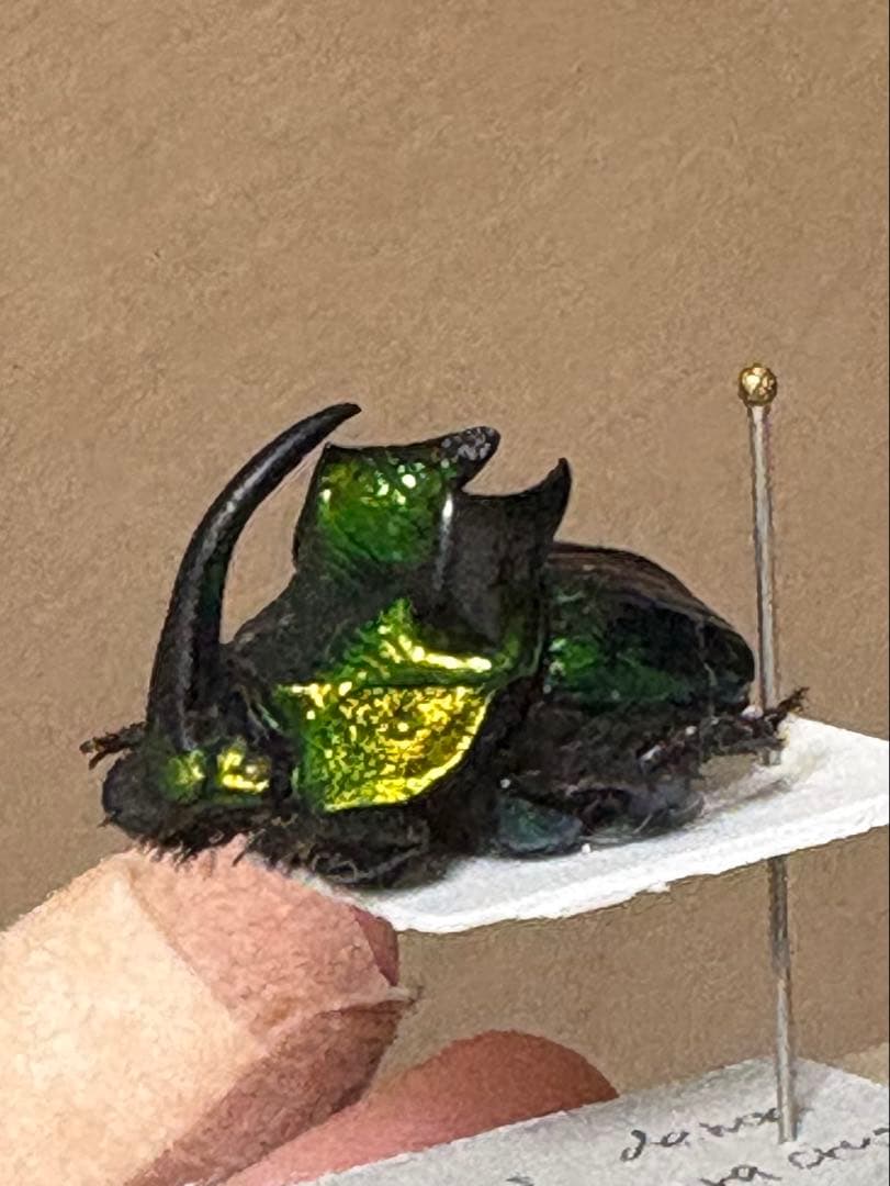 デーモンニジダイコク