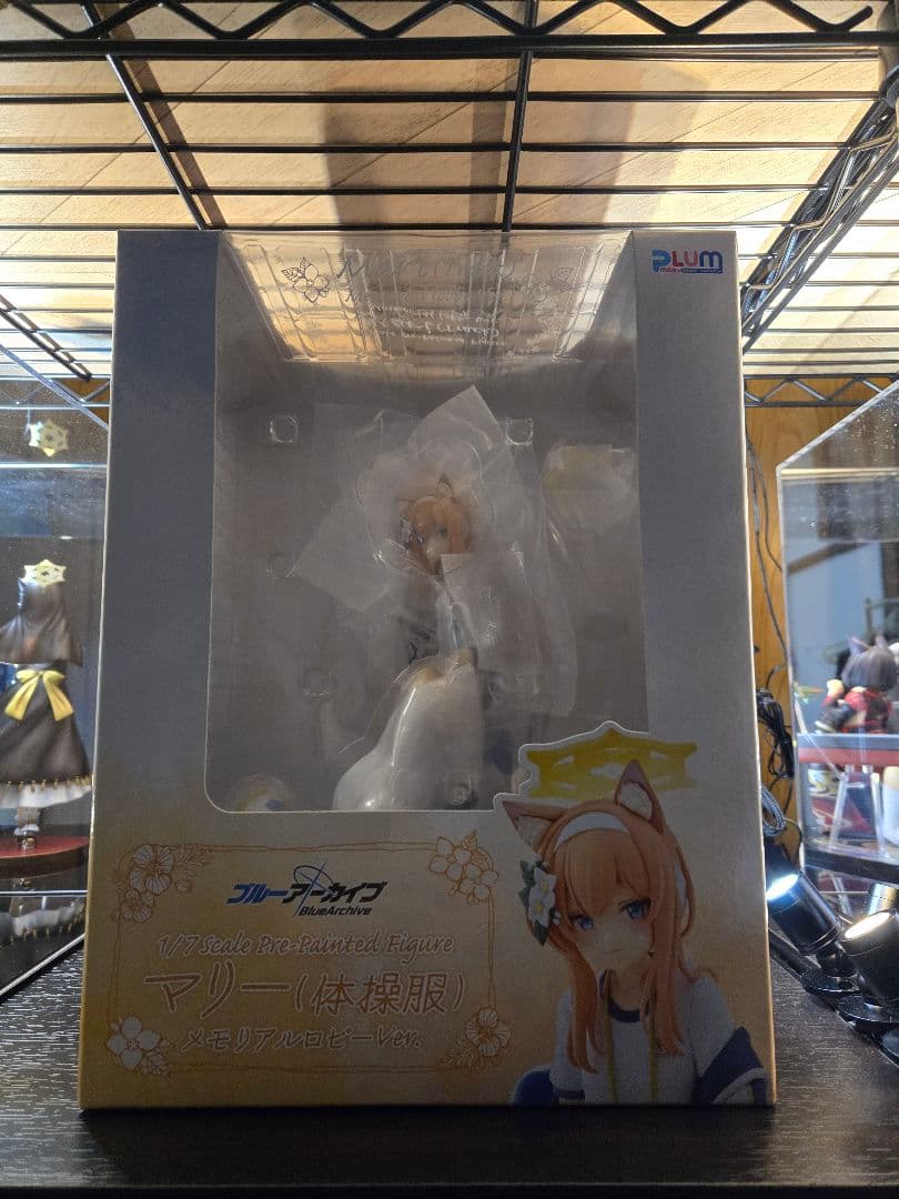 ブルーアーカイブ マリー(体操服)