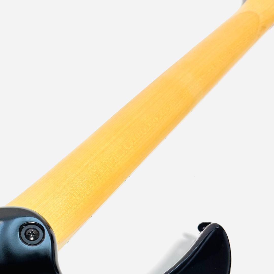 Ibanez RGV250 BK アイバニーズ エレキギター