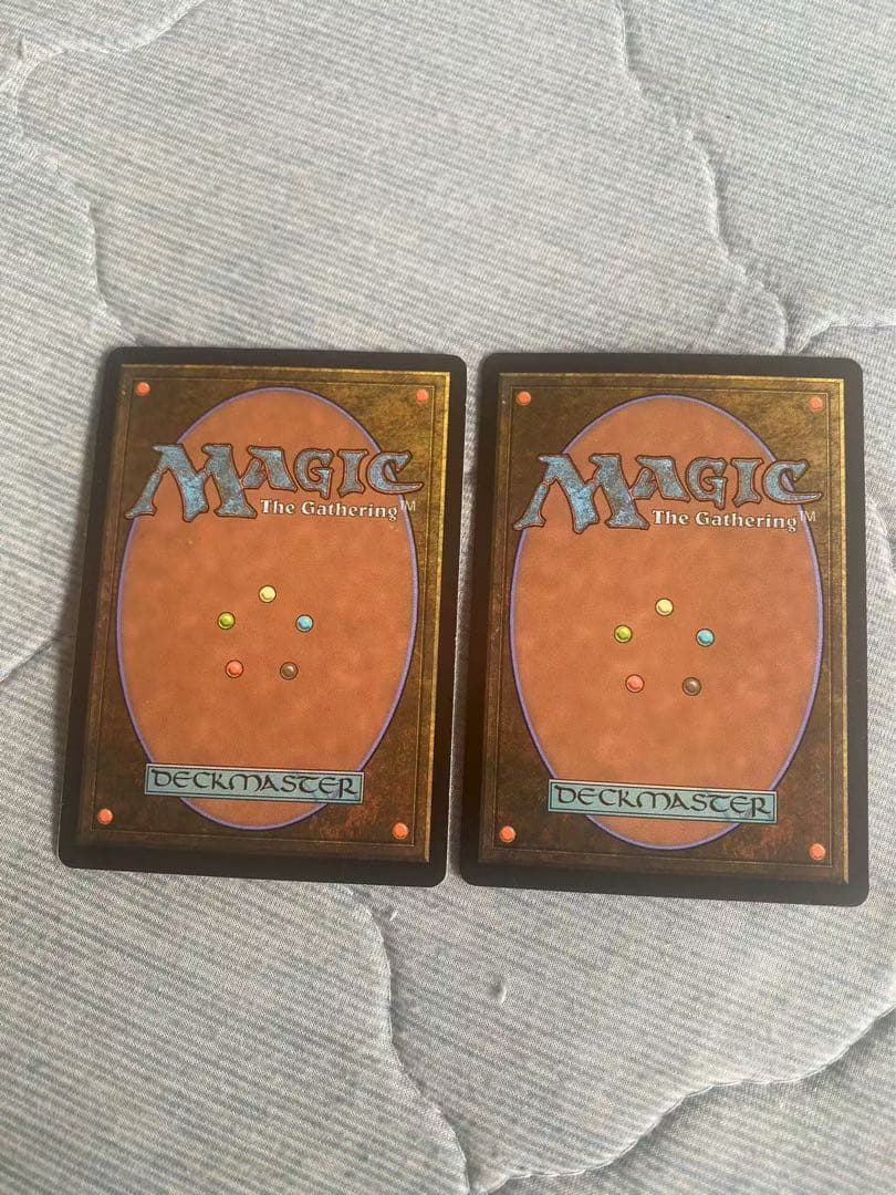 mtg 樹木茂る山麓 英語2枚セット サインド