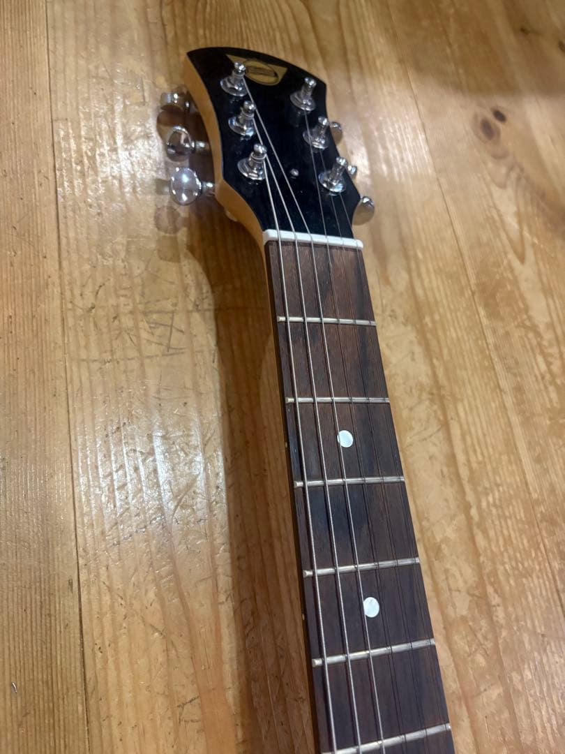 本日限定値下げ 【美品】pignose ピグノーズ　PGG200