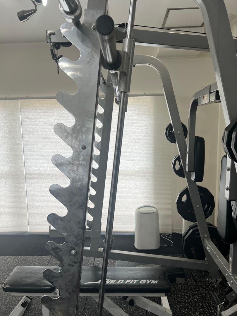 ワイルドフィット　パワーラック　スミスマシン　ラットプル　ペックフライ