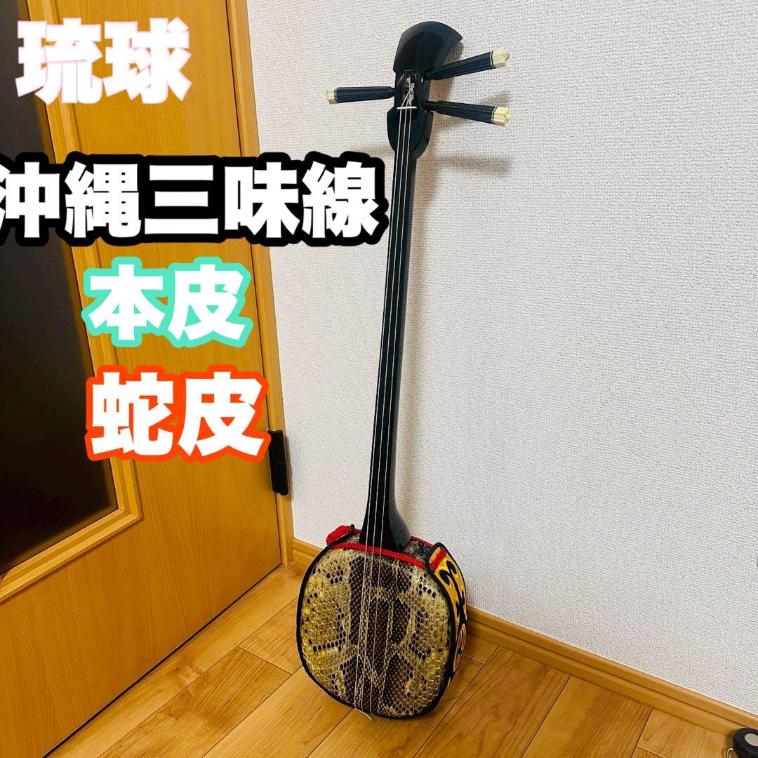 沖縄三線✨ 沖縄 伝統楽器 本皮 蛇皮 和楽器 破れなし