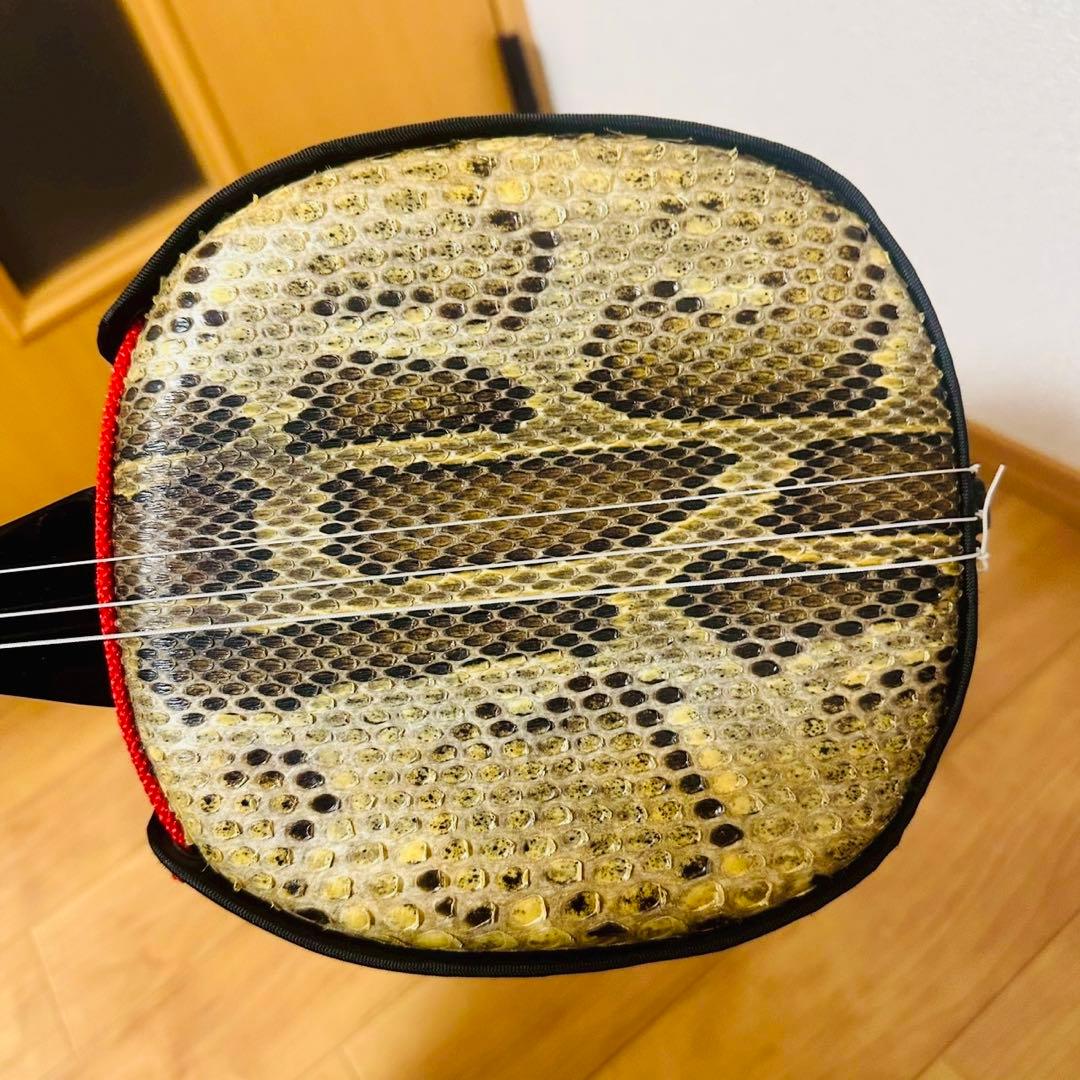 沖縄三線✨ 沖縄 伝統楽器 本皮 蛇皮 和楽器 破れなし