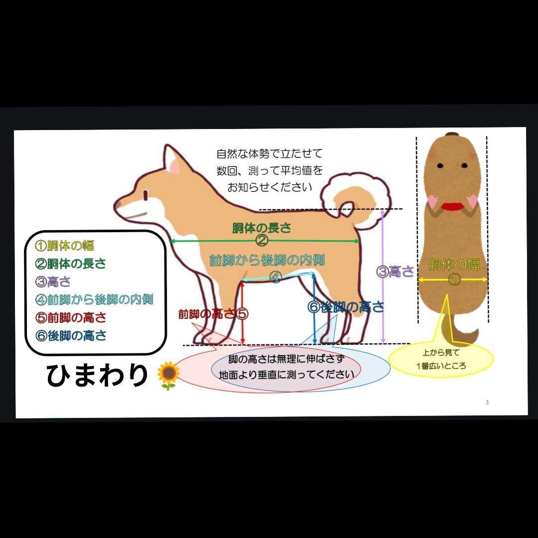 犬用4輪　リハビリ　食事補助　犬用車椅子　シニア犬補助　犬の歩行器