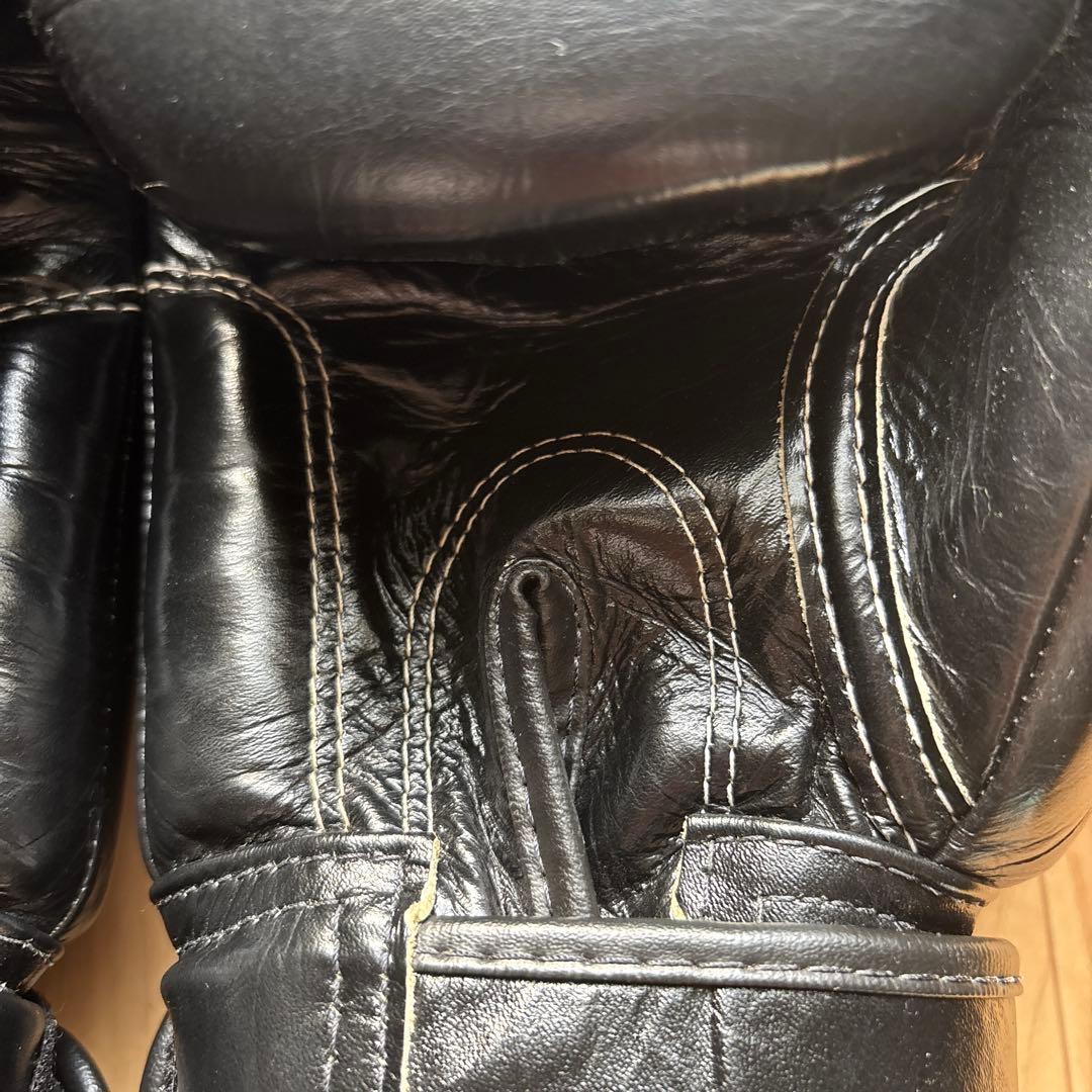 Fairtex（フェアテックス）ボクシンググローブ BGV1 本革制 16oz