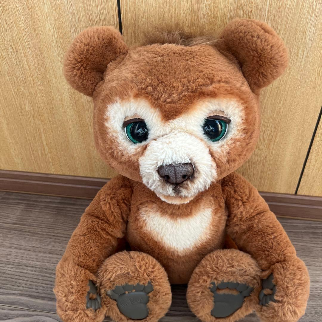 ファーリアルくま（ラッピングします）