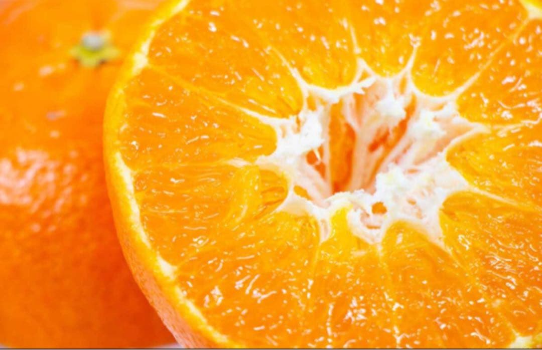 【甘平】愛媛県産 甘平 10kg 家庭用 不揃い 味は正規品