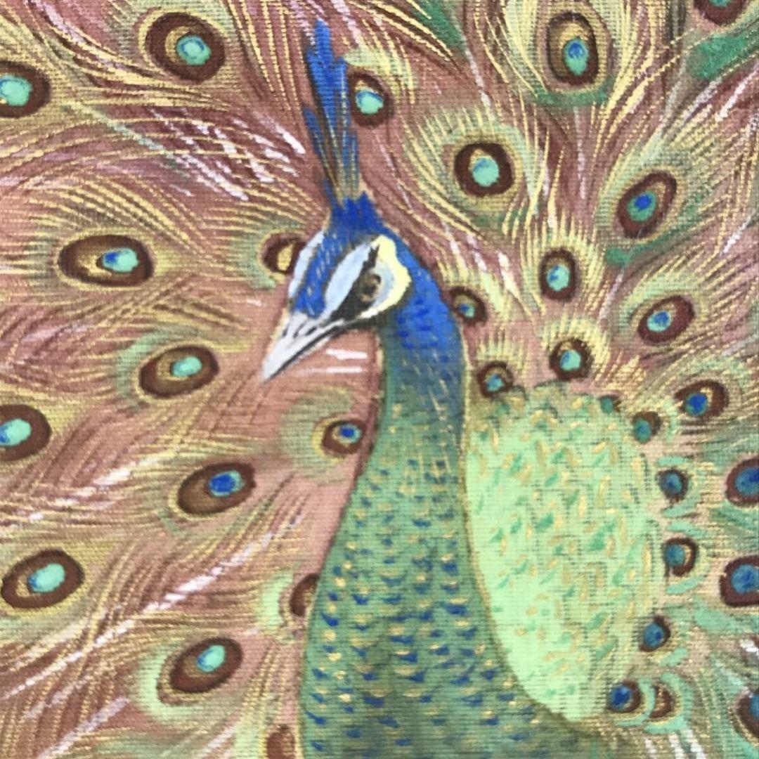 真作/細合秀穀/孔雀図/花鳥図/横物/鳥図/掛軸/名家伝来/AK-444