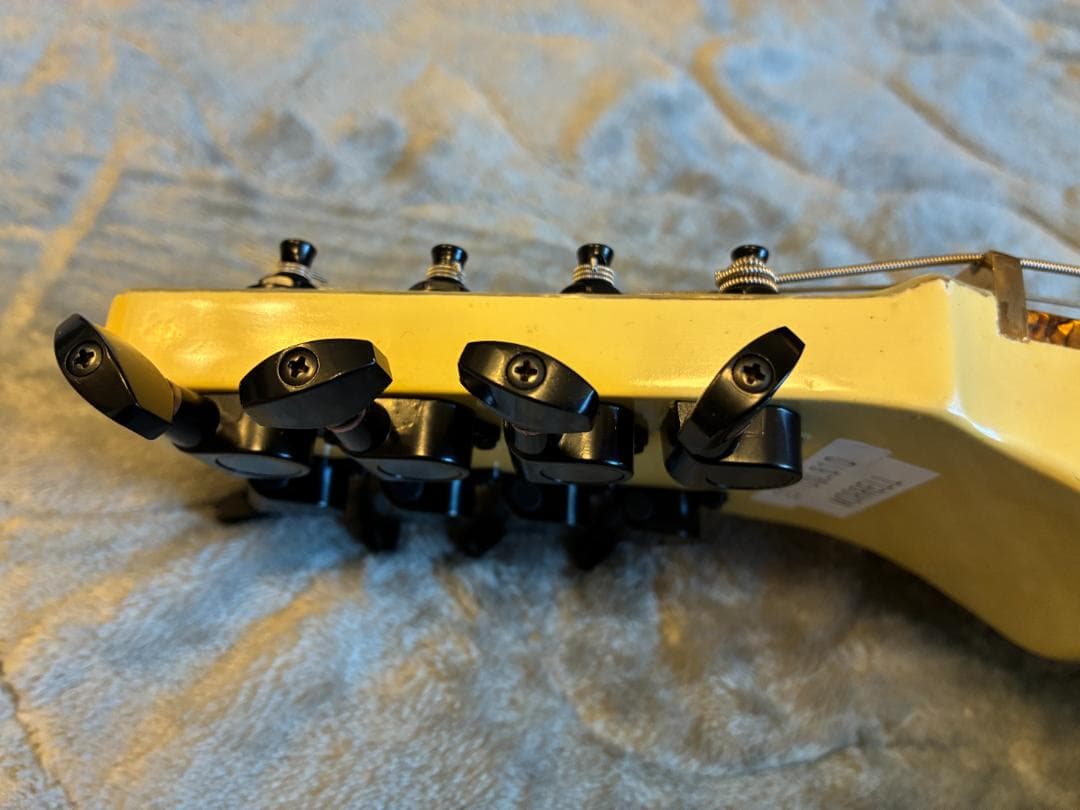 弦楽器 Morrell Pro 8-String Lap Steel