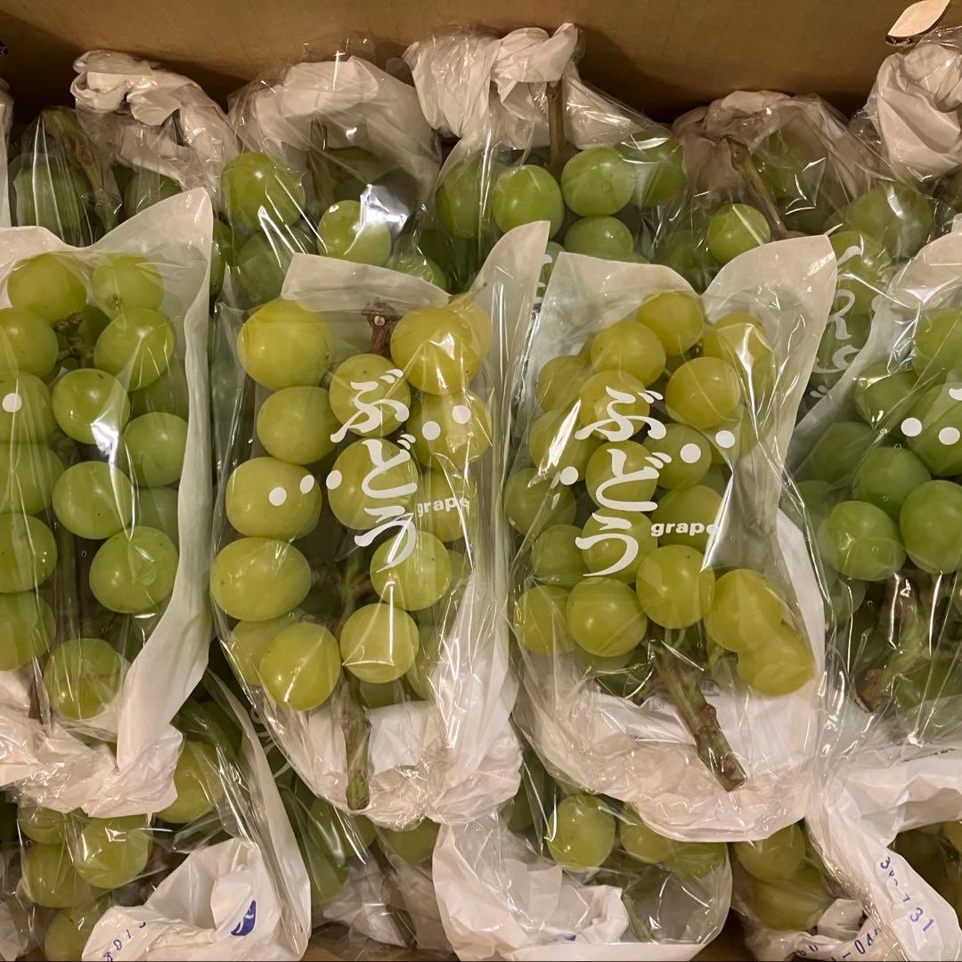 山梨県産訳ありシャイン　32房