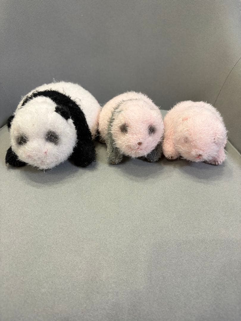 【希少】上野動物園 シャンシャン ほんとの大きさ ぬいぐるみ 3個セット