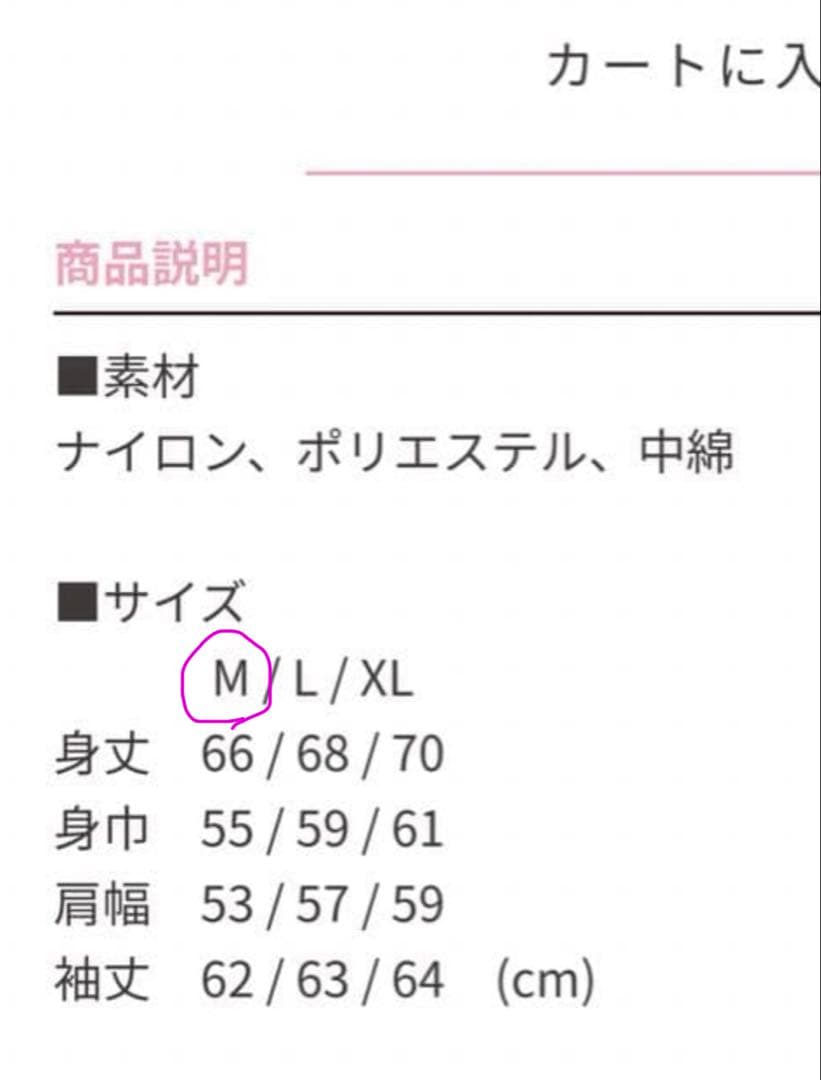 櫻坂46 シェルジャケット4th YEAR ANNIVERSARY 試着のみ