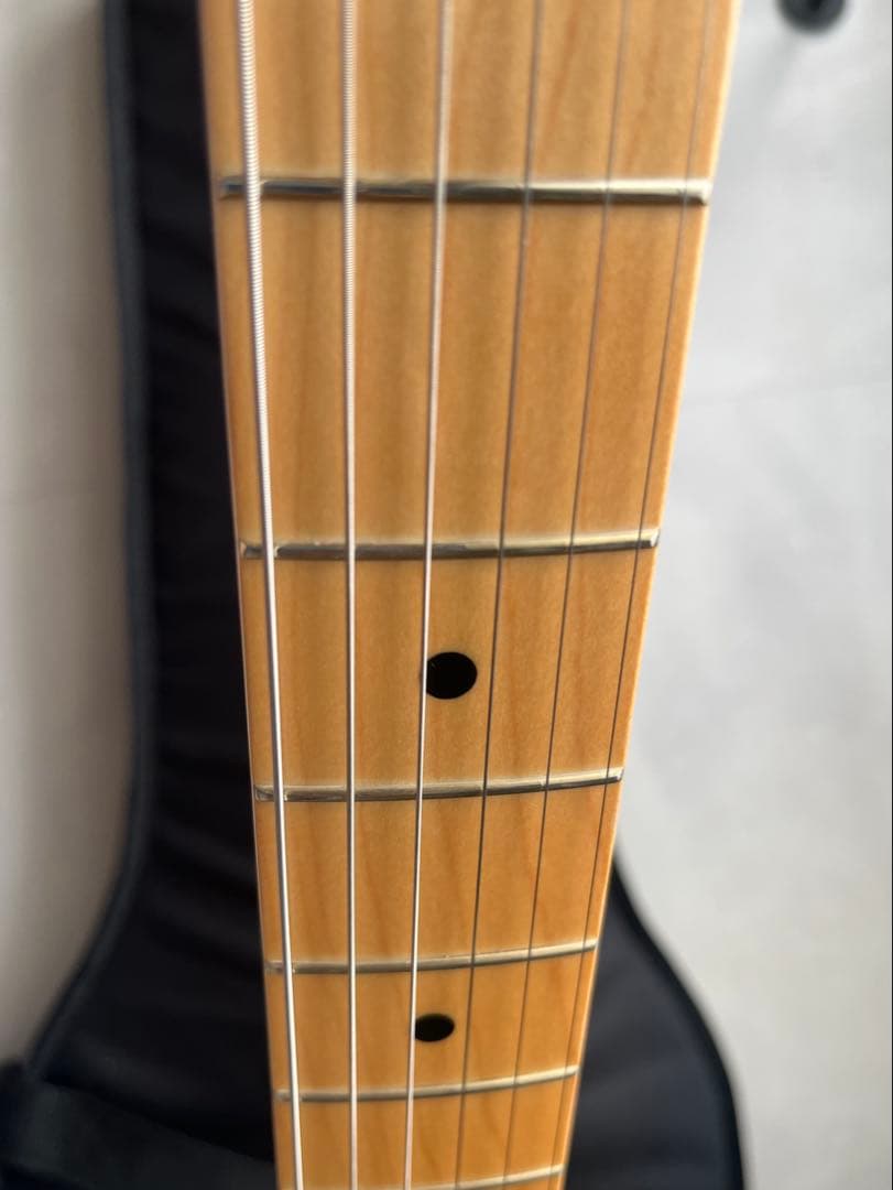 Fender Telecaster Blue Flower 25年限定生産