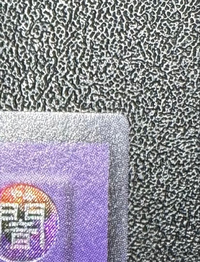 超魔導剣士ブラックパラディン/魔法使い族/ 遊戯王/レリーフ