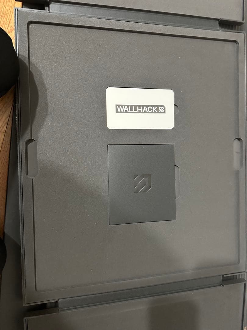 工芸品 WALLHACK SP-004 Frenzy Sora