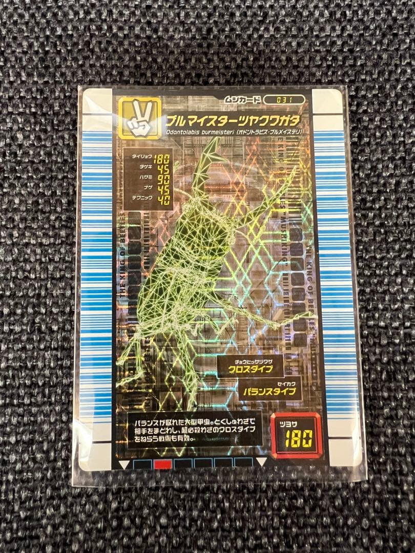 ムシキング 2007 1.0 ブルマイスターツヤクワガタ 銀 031 SEGA