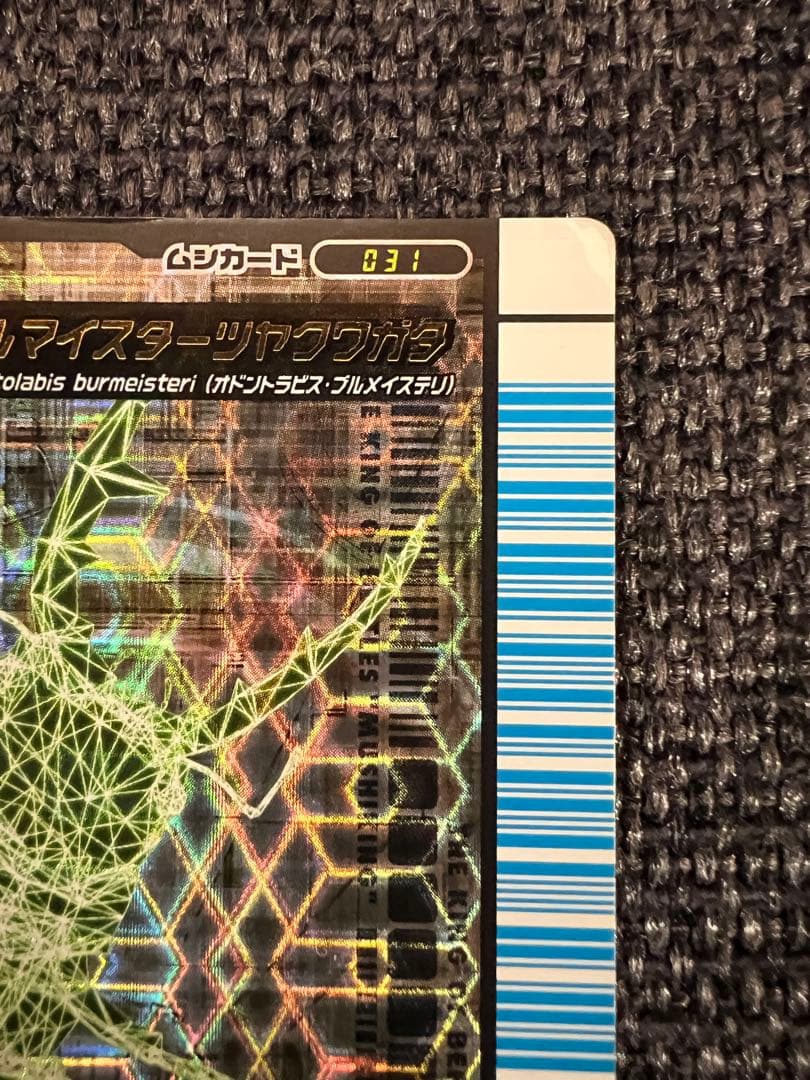 ムシキング 2007 1.0 ブルマイスターツヤクワガタ 銀 031 SEGA