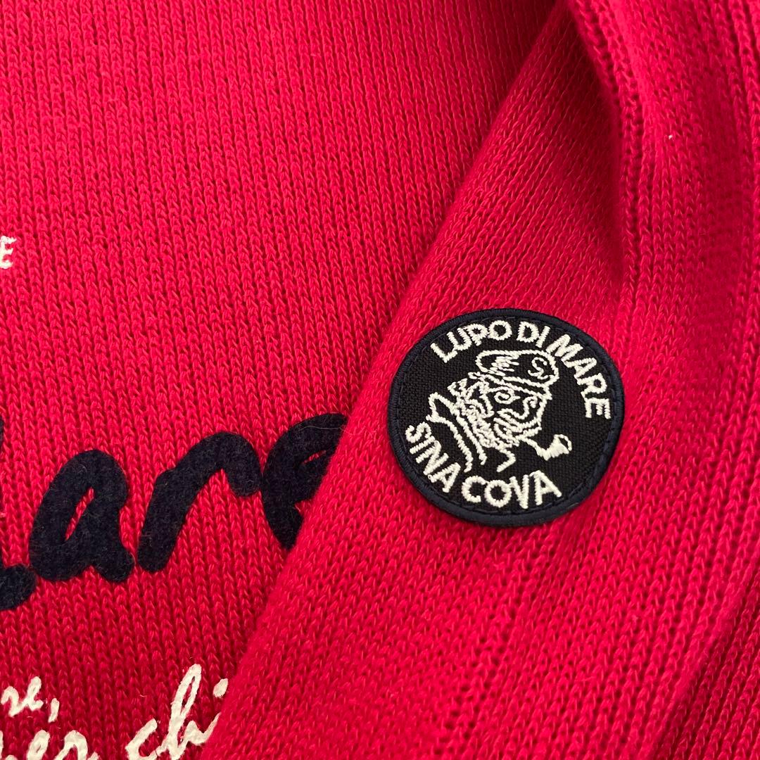 Sina Covaセーター