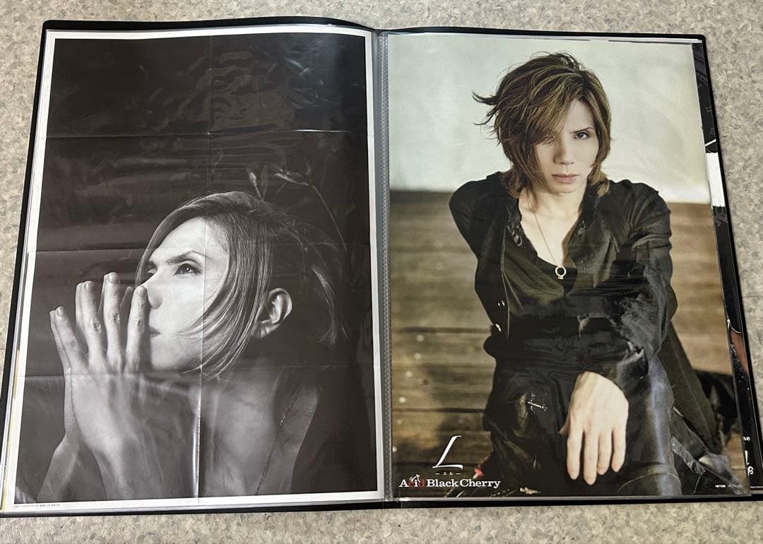 Acid Black Cherry ポスター　35種セット