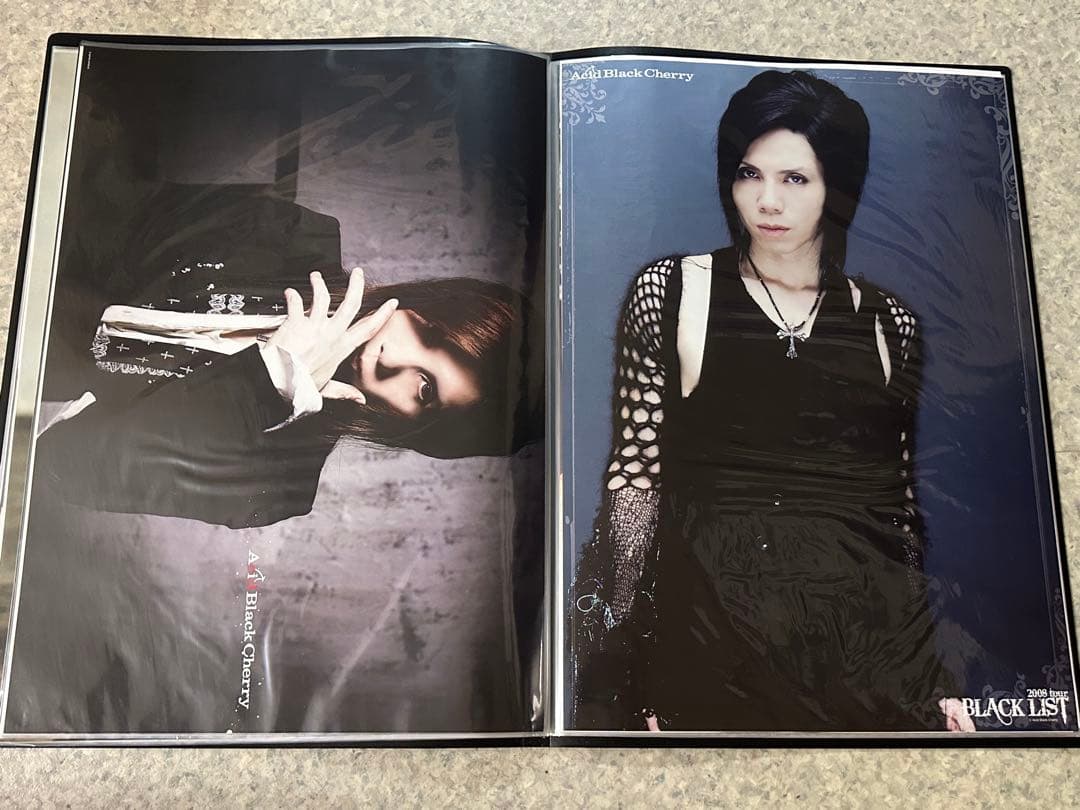 Acid Black Cherry ポスター　35種セット