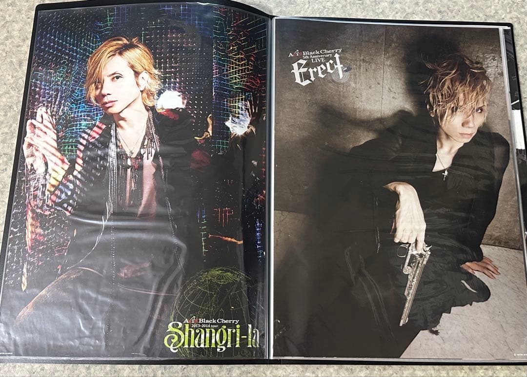 Acid Black Cherry ポスター　35種セット