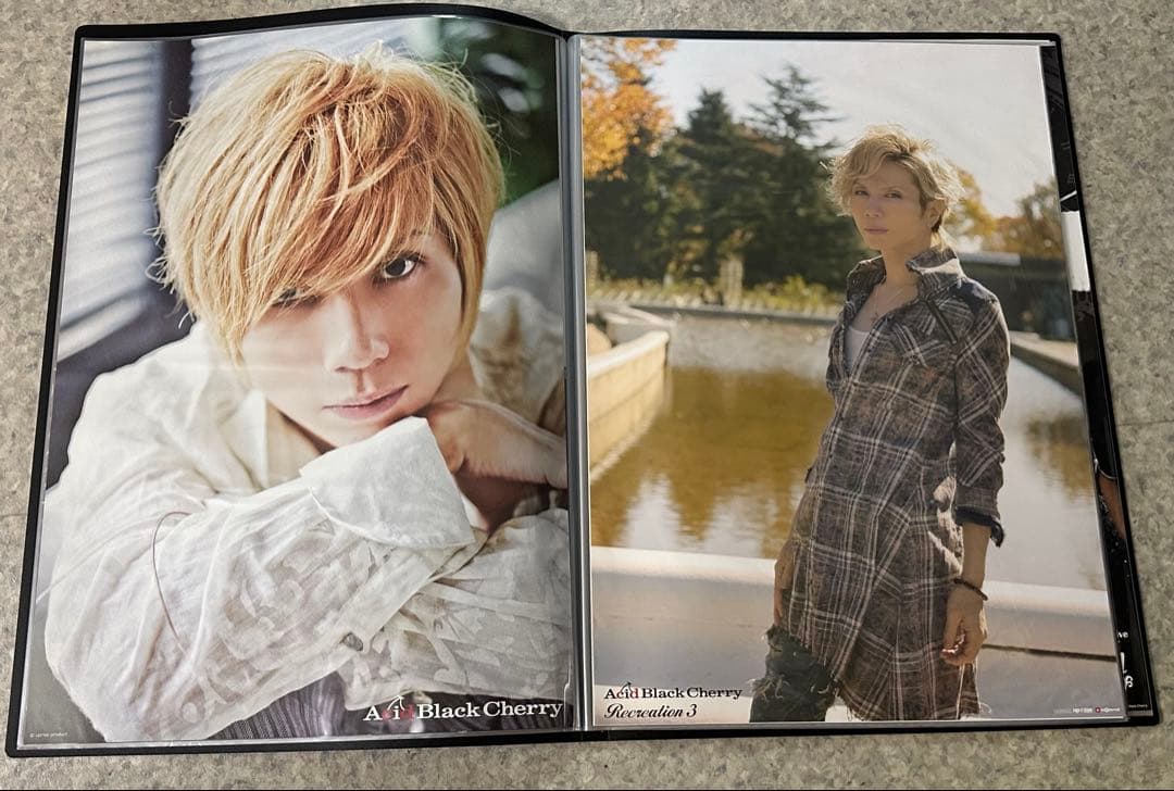 Acid Black Cherry ポスター　35種セット