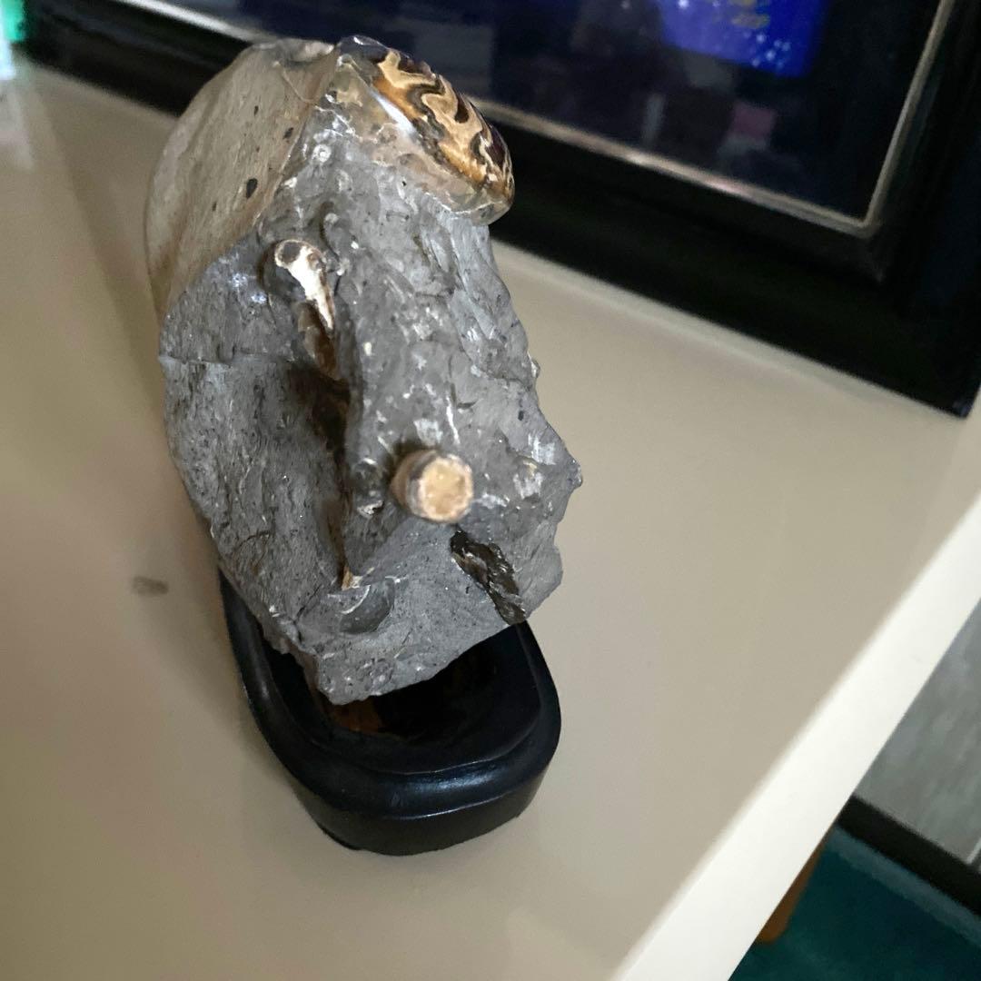 アンモナイト化石　台座付き　北海道産