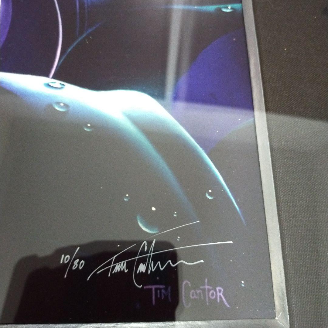 ティムカウンター作インブルーム高級絵画/