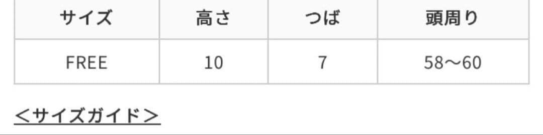 【限定完売品】BRIEFING Eyevol コラボキャップ 未使用品