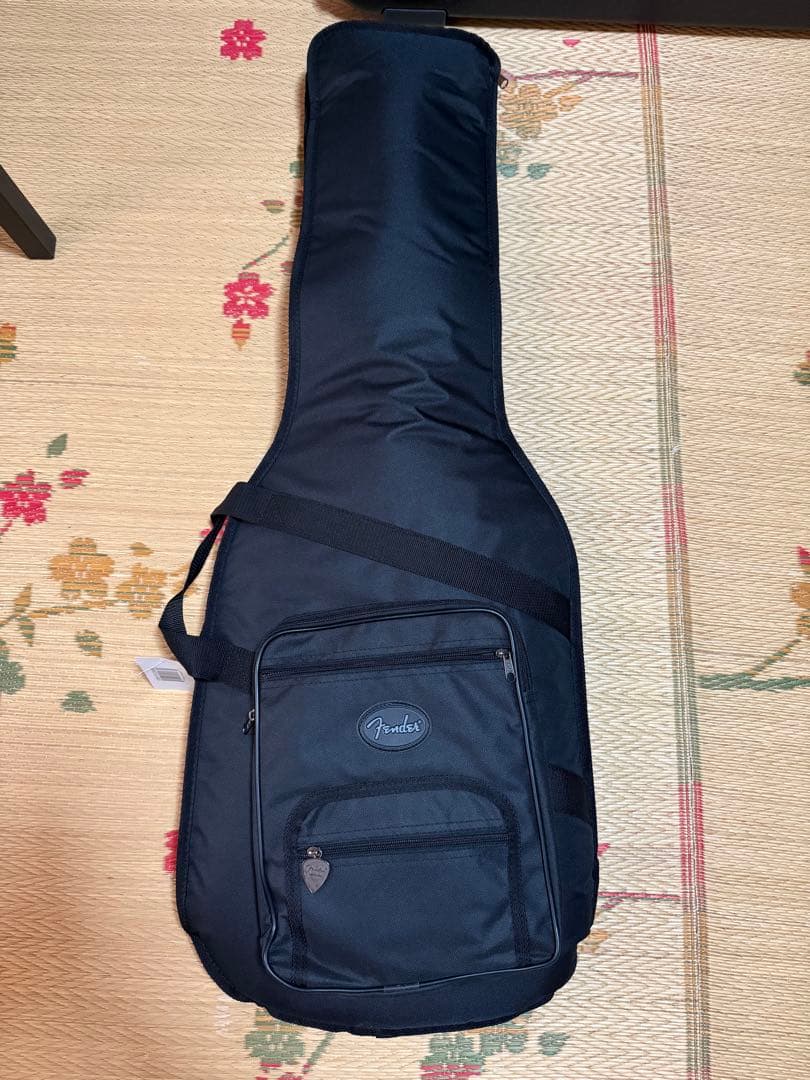 ギター Fender American Professional Classic