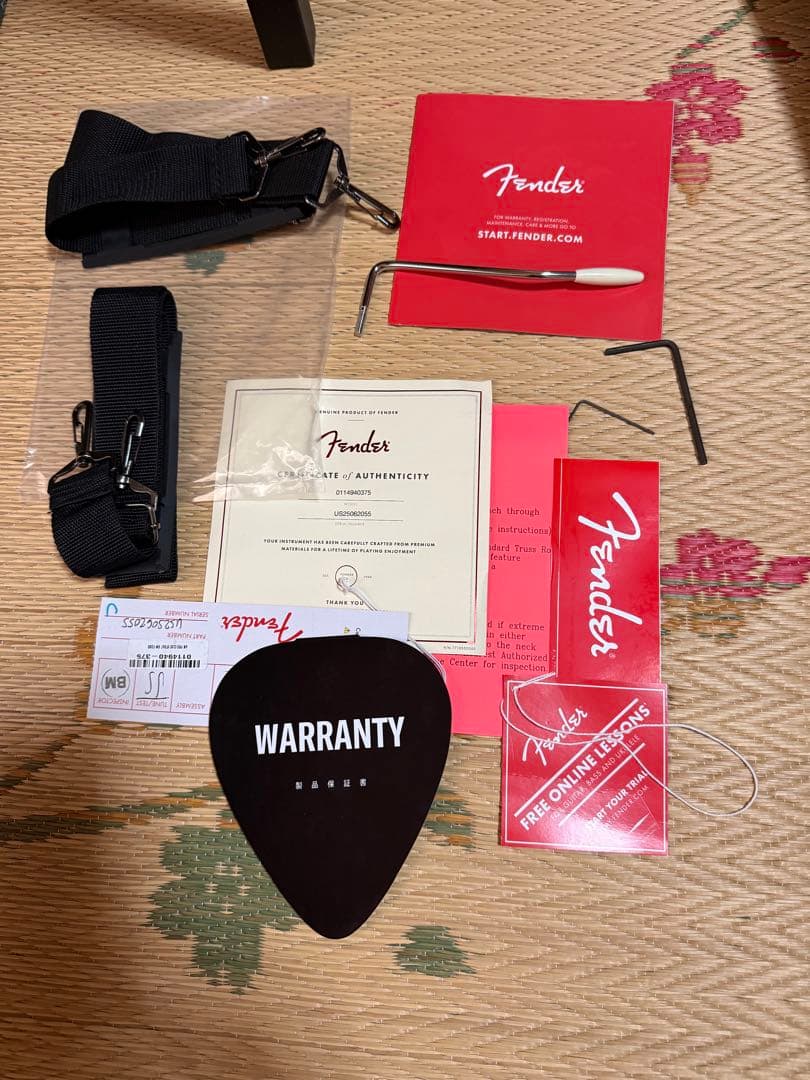 ギター Fender American Professional Classic