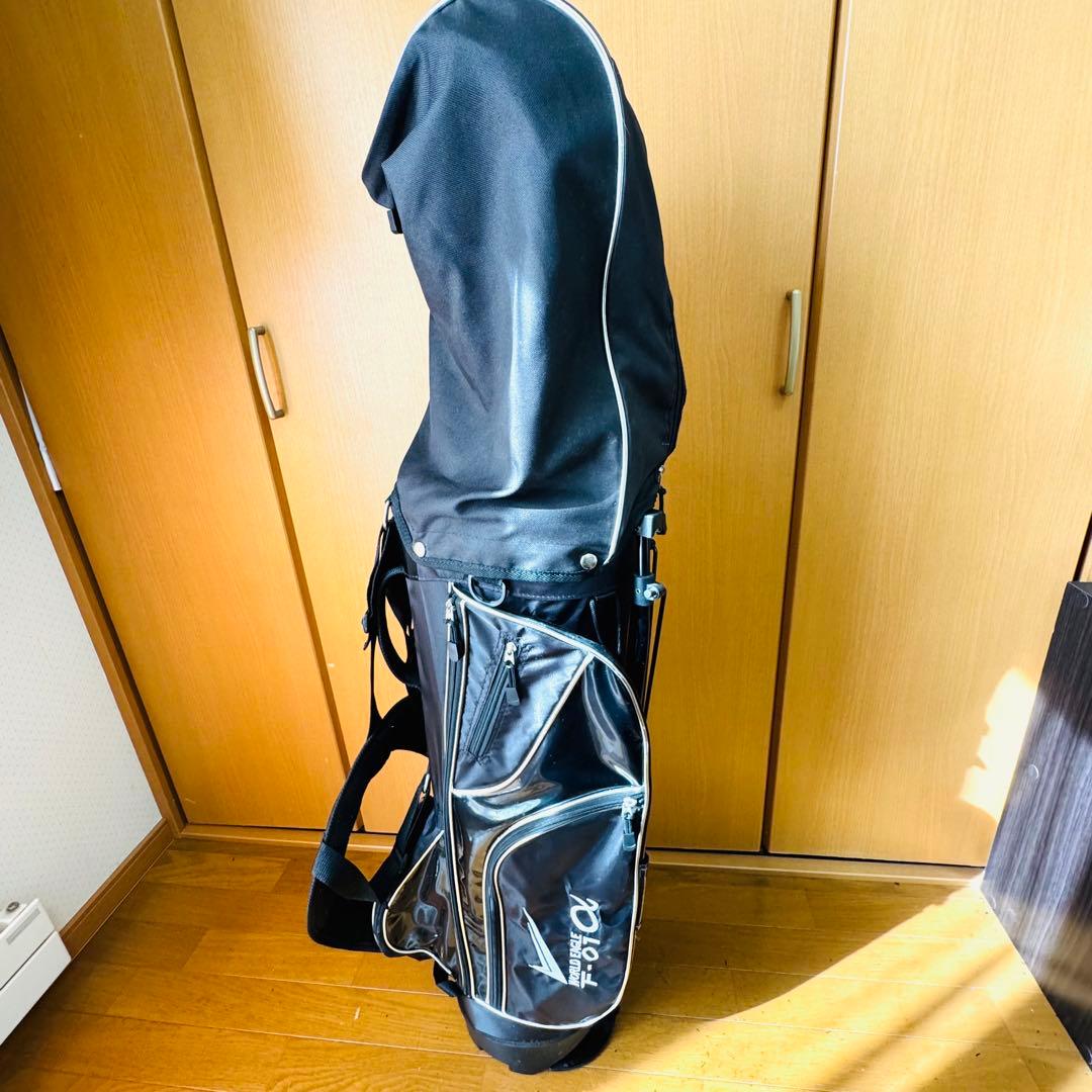 【美品】ワールドイーグル　F-01α ツアーステージ　ゴルフセット10本セット