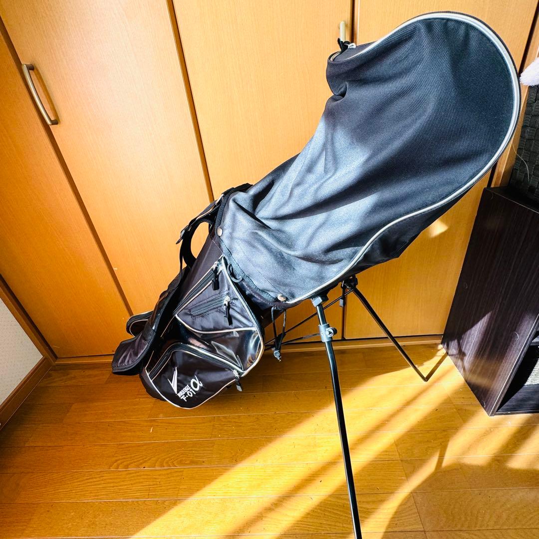 【美品】ワールドイーグル　F-01α ツアーステージ　ゴルフセット10本セット