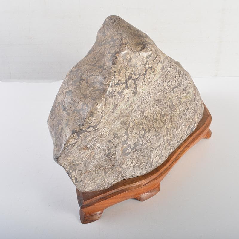 鑑賞石　天然石　梅花石　置物　重さ約10㎏　唐木台付　C 6361C