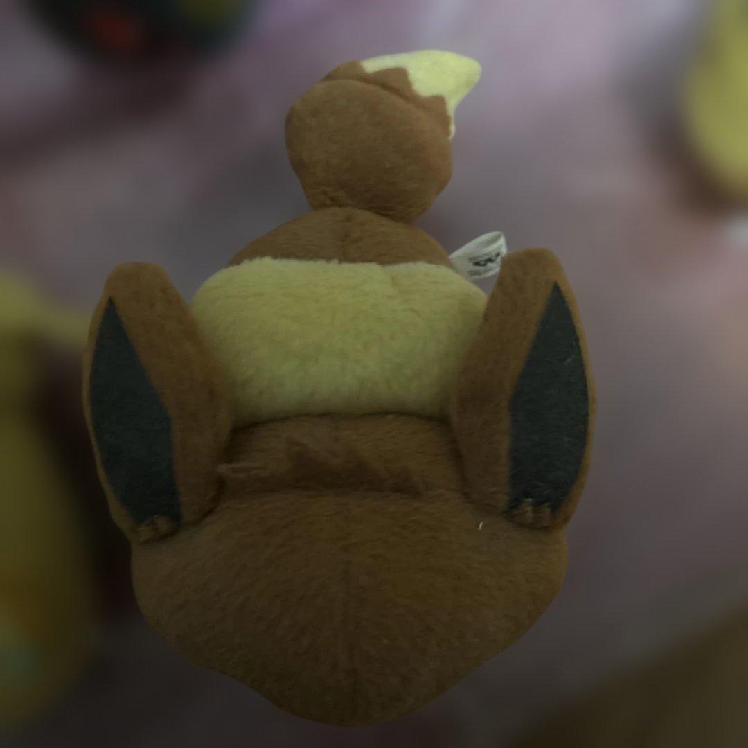 ポケモンころりんブイズ9種セット(ちむ)