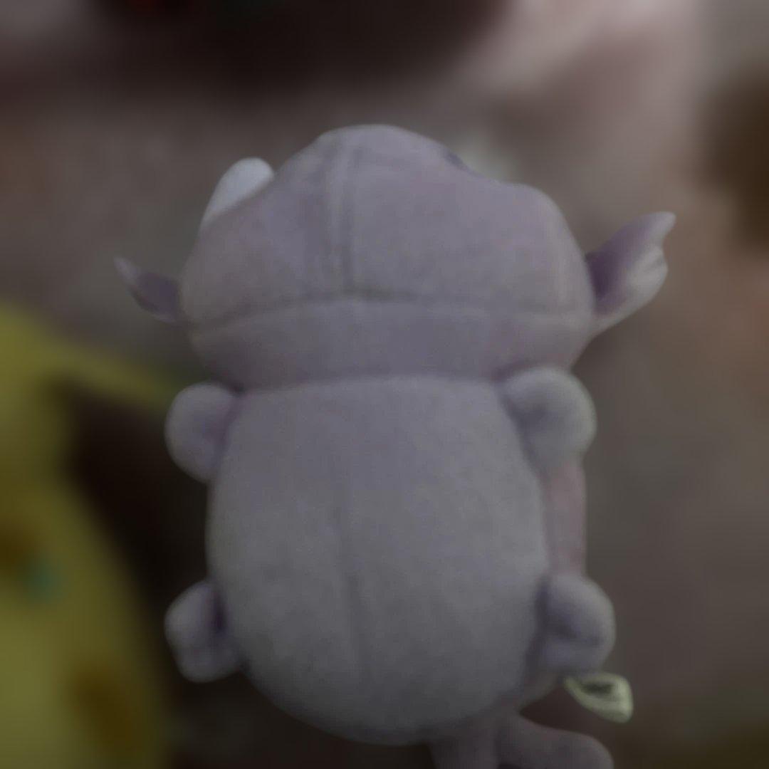 ポケモンころりんブイズ9種セット(ちむ)