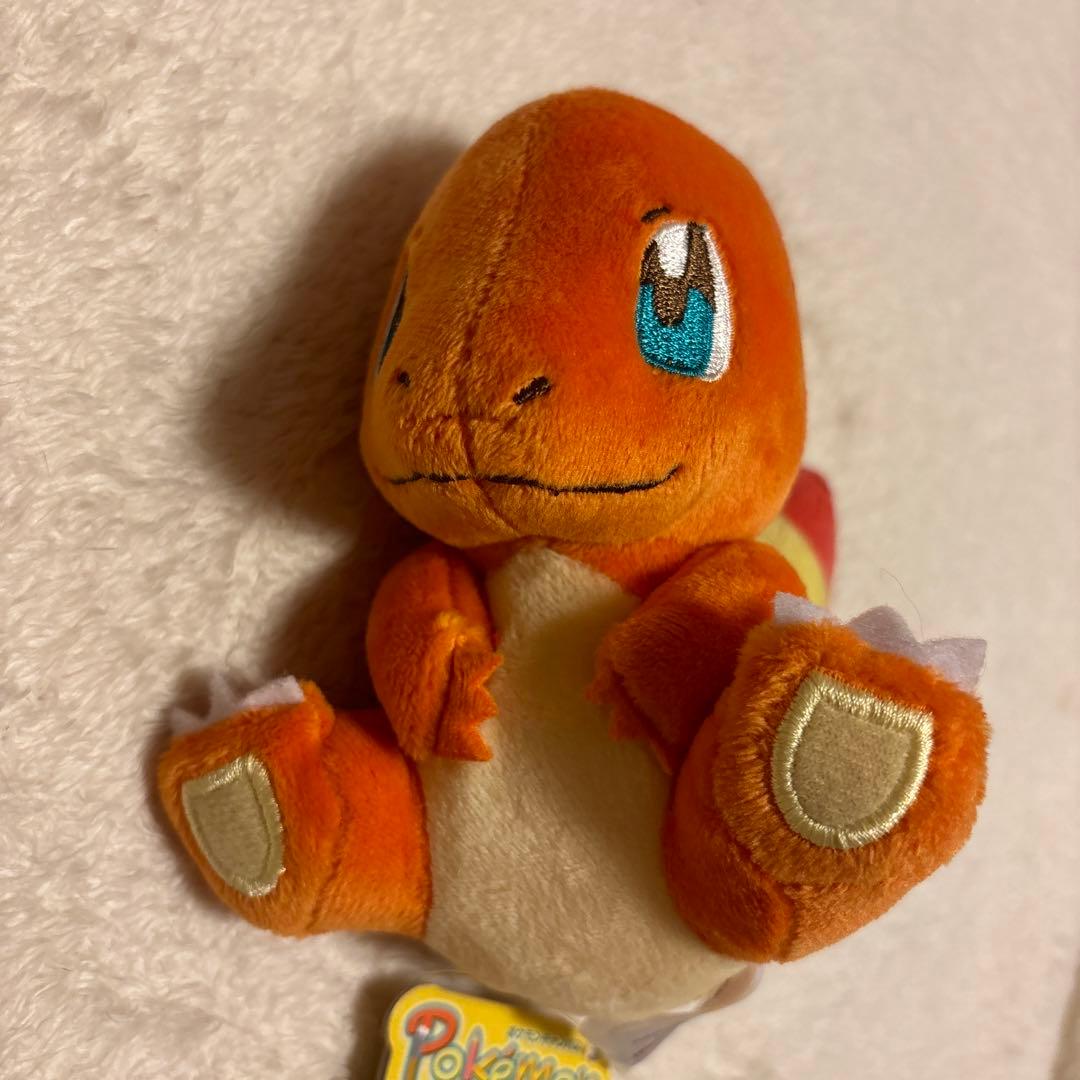 ポケモンセンター　ヒトカゲ　キャンバス　ぬいぐるみ