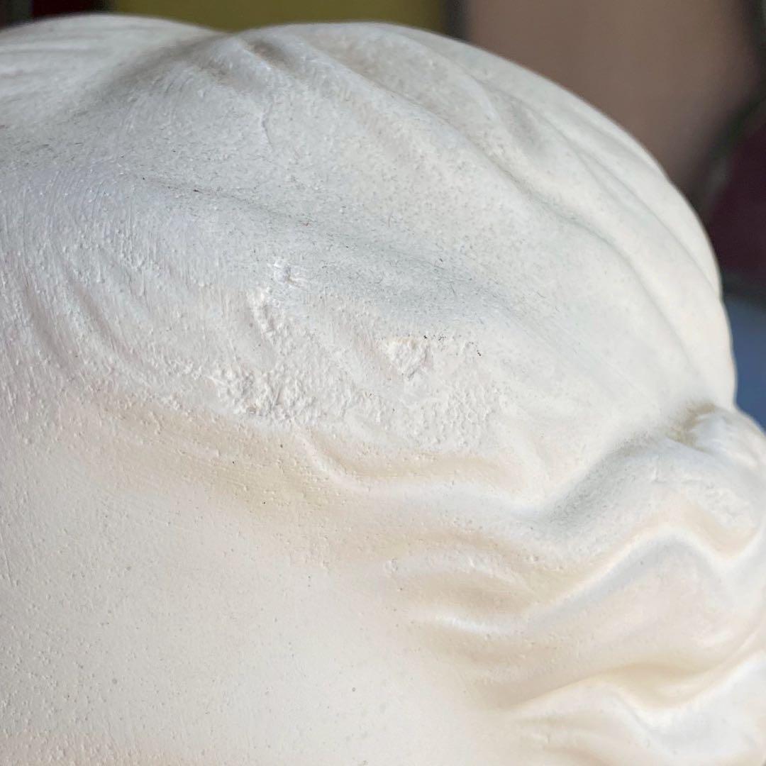 ミロのヴィーナス 首像 石膏像 インテリア アンティーク ビンテージ